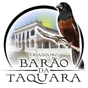 logotipo